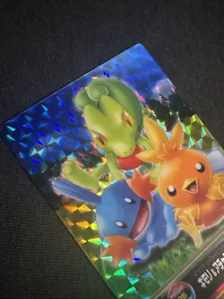 Pokemon Card Mudkip Treecko Torchic #05 Holo Prism FRLG Zukancard - Image 4