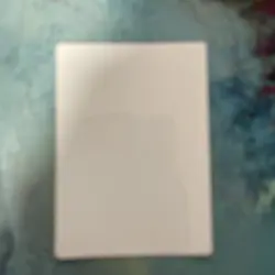Blossoming Tortoise Artist Proof Simon Dominic - Image 2