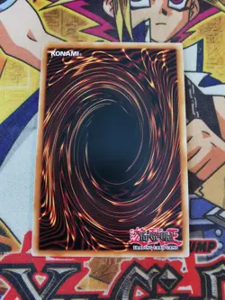 Raidraptor - Wise Strix duov-en005 1st Edition (NM+) Ultra Rare Yu-Gi-Oh! - Image 2