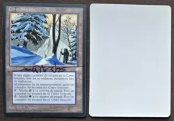 SIGNED MtG Magic Jeff Menges Artist Proof _ Spanish Ice Age _ TIMBERLINE RIDGE _ - Image 1