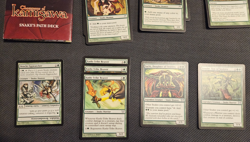 Magic The Gathering 2004 - Champions of Kamigawa Snakes Path Themed Deck - Used - Image 3