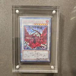 YuGiOh Unofficial Magnetic Clear Card Display Case - Image 1