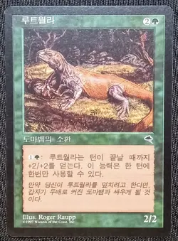KOREAN | MTG | Rootwalla | Tempest | LP | Magic: The Gathering - Image 1