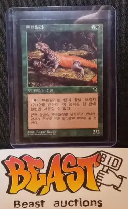 KOREAN | MTG | Rootwalla | Tempest | LP | Magic: The Gathering - Image 3