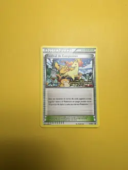 2015 Champions Festival SPANISH World Championship Promo Pokemon Card XY91 - Image 1