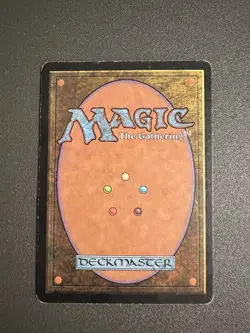 MTG Soul Warden Exodus 21/143 Regular Common - Image 2