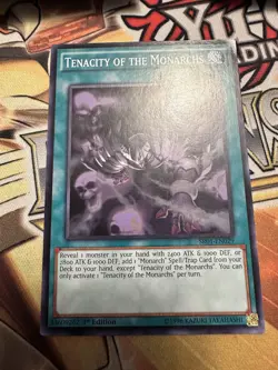 Tenacity of the Monarchs SR01-EN029 Common 1st Edition NM Yugioh - Image 1