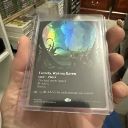 Evendo, Waking Haven (Borderless) (Foil) - MTG Edge of Eternities #279 - Image 1
