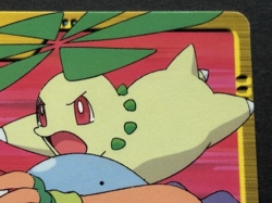 Pokemon Carddass Chikorita, Quagsire, Ash NO.49 Anime collection Pokemon Japan - Image 3