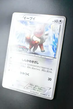 Eevee 213/BW-P Gym Challenge Promo 2013 Japanese Pokemon Card - Image 4