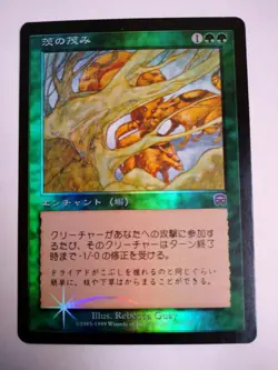 Mtg Magic The Gathering Japan Edition Card Thorny Bush - Image 1
