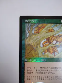 Mtg Magic The Gathering Japan Edition Card Thorny Bush - Image 2