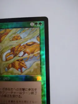 Mtg Magic The Gathering Japan Edition Card Thorny Bush - Image 3