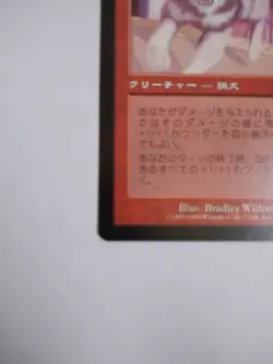 Mtg Magic The Gathering Japan Edition Card Blood Hound 1 - Image 5