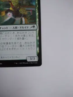 Mtg Magic The Gathering Japan Edition Card Guardian Of Sea Wood 1 - Image 4