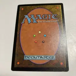 Mtg Forest Bear Pokemon Card Magic The Gathering - Image 2