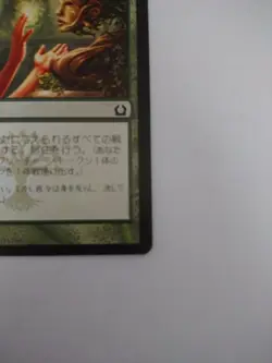 Mtg Magic The Gathering Japan Edition Card Druid'S Lecture - Image 4