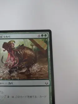 Mtg Magic The Gathering Japan Edition Card Fighting Hippo - Image 3