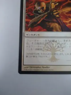 Mtg Magic The Gathering Japanese Card Trostani'S Judgment - Image 5