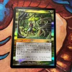 Mtg Magic The Gathering Foil Judgment Japanese Hunting Grounds - Image 1