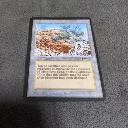 Mtg Magic The Gathering Diamond Valley English - Image 1