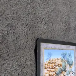 Mtg Magic The Gathering Diamond Valley English - Image 3