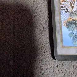 Mtg Magic The Gathering Diamond Valley English - Image 5