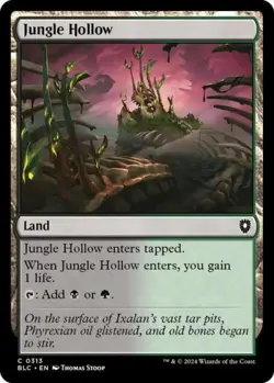 Jungle Hollow - Light Play MTG Commander: Bloomburrow - Image 1