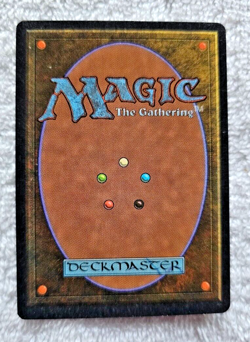 MTG Giant Tortoise Rare (Light) Version Arabian Nights 1993 Magic Gathering Card - Image 2