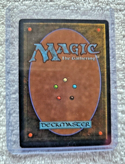 MTG Giant Tortoise Rare (Light) Version Arabian Nights 1993 Magic Gathering Card - Image 4