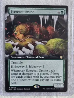 MTG Evercoat Ursine (Extended Art) #64 Bloomburrow (BLB) Magic Card Rare NM - Image 4