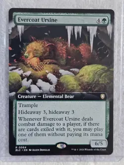 MTG Evercoat Ursine (Extended Art) #64 Bloomburrow (BLB) Magic Card Rare NM - Image 5