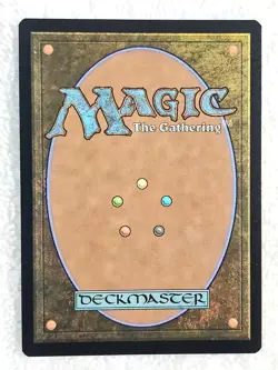 MTG Forest (0291) - The Lost Caverns of Ixalan (LCI) Magic Card LAND NM - Image 3