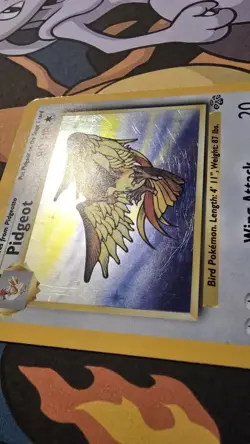 Pokemon Card WOTC TCG 1999 Pidgeot 8/64 Holo Rare Jungle Set - Image 4