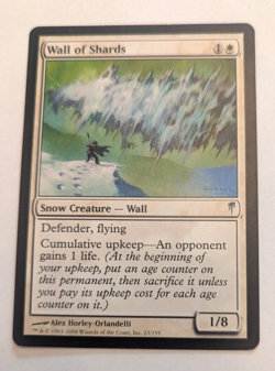 Magic Mtg Coldsnap Wall of Shards near mint - Image 1