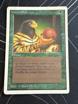 Natural Selection MTG Unlimited Edition Magic the Gathering LP - Image 1