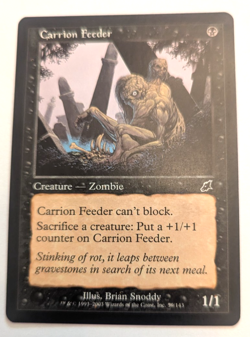 Magic Mtg Scourge Carrion Feeder lightly played - Image 1