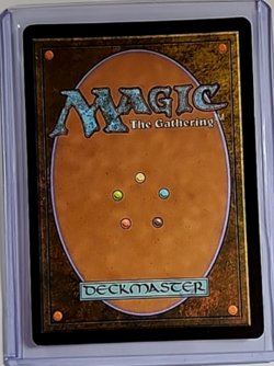 2023 MTG Magic The Gathering LOTR Borderless Foil Promo #448 Frodo Saurons Bane - Image 2
