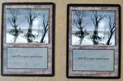 Magic The Gathering. Ice Age. 1995. Lot of 20 Snow Covered Lands!! NM-VG. MTG - Image 3