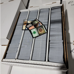 4000 Magic The Gathering BASIC LAND Lot - 800 of Each Type - MTG FTG All Sets - Image 1