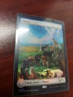 [1x] Plains (1513) - Foil Near Mint, English Secret Lair MTG Magic - Image 1