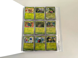 Pokemon TCG Destined Rivals Complete Base Set 182/182 Inc 79 Reverses & Promo - Image 3