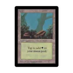 WOTC MtG Beta Forest - Version A (L) EX - Image 1