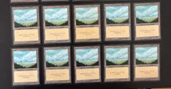 MTG 10X JAPANESE BLACK BORDERED PLAINS FBB MAGIC THE GATHERING BASIC LAND #B - Image 1
