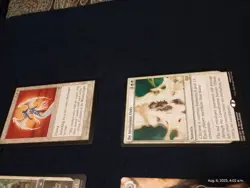 Magic The Gathering 8 Card Lot Including Enlightened Tutor Serra Angel And More - Image 5