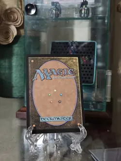 MTG Forest Secret Lair x FORTNITE: Landmarks and Locations 452 Foil - Image 2