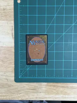 Emerald Medallion Tempest Regular - Image 4