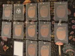 Signed Magic The Gathering Card Lot Demonic Tutor & Others. See Description - Image 3