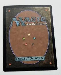 MTG Card Armory Paladin Foil Rare Fallout Magic NM SEE PICS 93 - Image 2