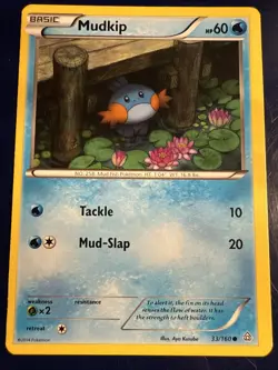 Mudkip 33/160 XY Primal Crash Pokemon Card MP/HP - Image 1
